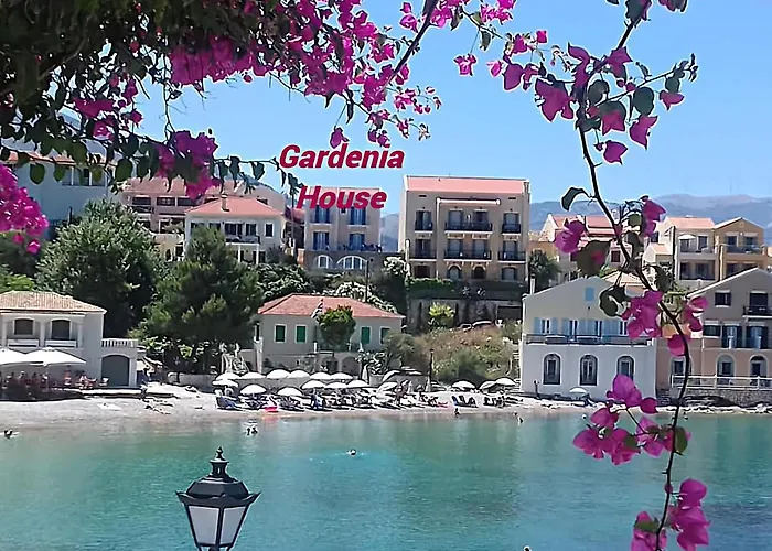 Gardenia House Asos